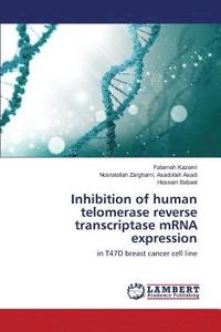 bokomslag Telomerase and cancer therapy with nanoparticles