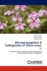 bokomslag Micropropagation & Callogenesis of Vinca rosea. L.