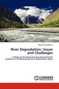 bokomslag River Degradation