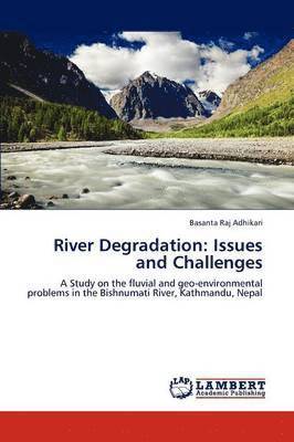 River Degradation 1