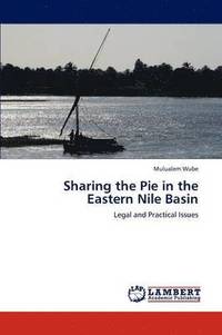 bokomslag Sharing the Pie in the Eastern Nile Basin