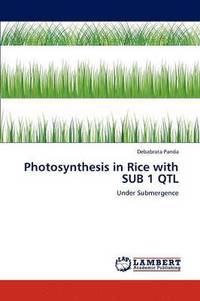 bokomslag Photosynthesis in Rice with Sub 1 Qtl