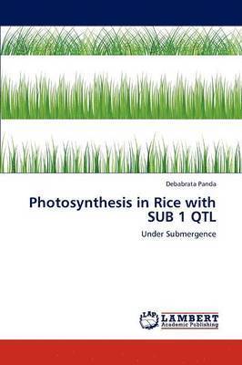 bokomslag Photosynthesis in Rice with Sub 1 Qtl