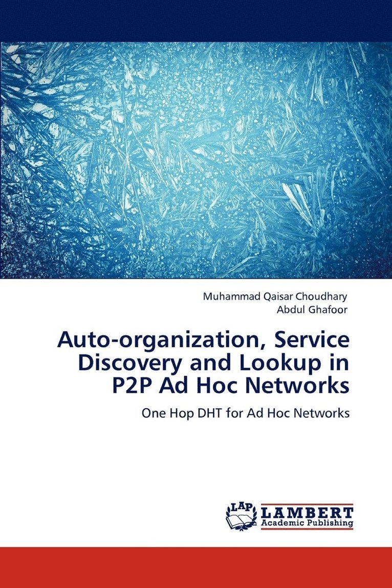 Auto-organization, Service Discovery and Lookup in P2P Ad Hoc Networks 1