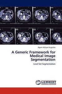 bokomslag A Generic Framework for Medical Image Segmentation
