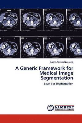 A Generic Framework for Medical Image Segmentation 1