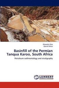 bokomslag Basinfill of the Permian Tanqua Karoo, South Africa