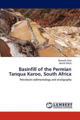 Basinfill of the Permian Tanqua Karoo, South Africa 1