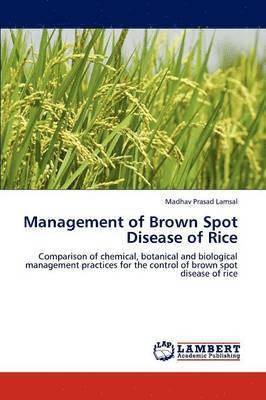 bokomslag Management of Brown Spot Disease of Rice
