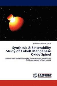bokomslag Synthesis & Sinterability Study of Cobalt Manganese Oxide Spinel