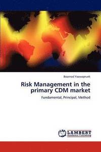 bokomslag Risk Management in the primary CDM market