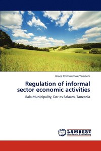 bokomslag Regulation of informal sector economic activities