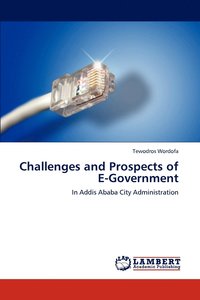 bokomslag Challenges and Prospects of E-Government