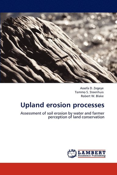 bokomslag Upland erosion processes