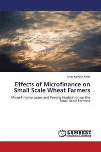 bokomslag Effects of Microfinance on Small Scale Wheat Farmers