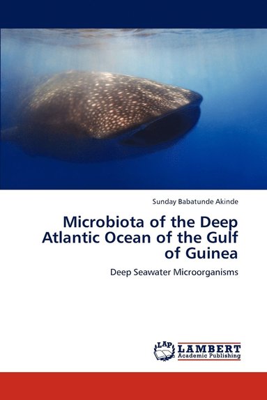 bokomslag Microbiota of the Deep Atlantic Ocean of the Gulf of Guinea