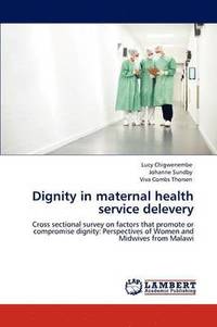 bokomslag Dignity in maternal health service delevery