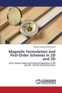 bokomslag Magnetic Formulation and First-Order Schemes in 2D and 3D
