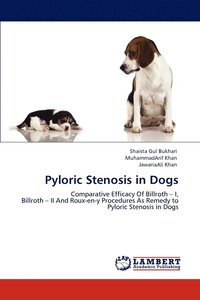 bokomslag Pyloric Stenosis in Dogs