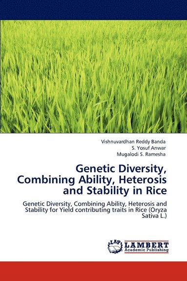 bokomslag Genetic Diversity, Combining Ability, Heterosis and Stability in Rice