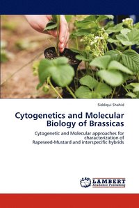bokomslag Cytogenetics and Molecular Biology of Brassicas