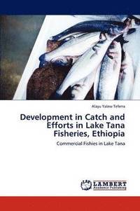 bokomslag Development in Catch and Efforts in Lake Tana Fisheries, Ethiopia