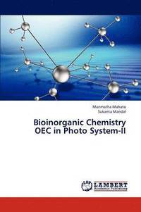 bokomslag Bioinorganic Chemistry OEC in Photo System-II