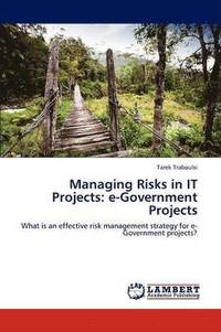bokomslag Managing Risks in It Projects