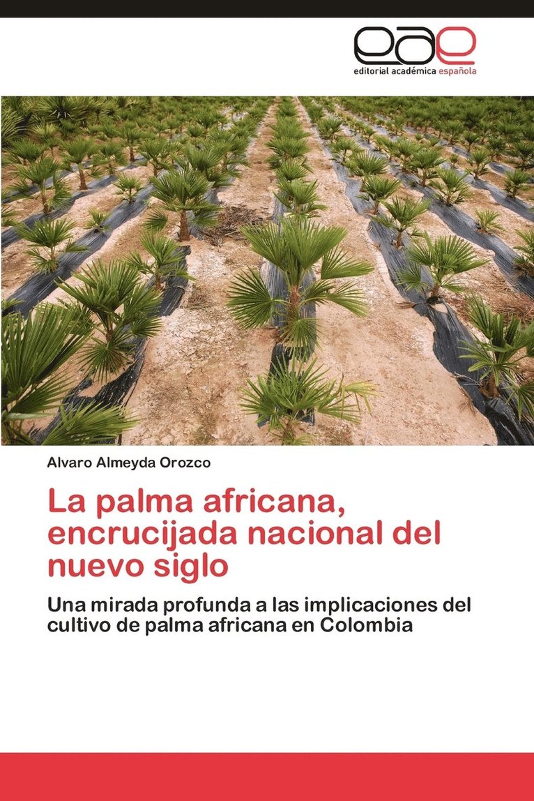 La Palma Africana, Encrucijada Nacional del Nuevo Siglo 1