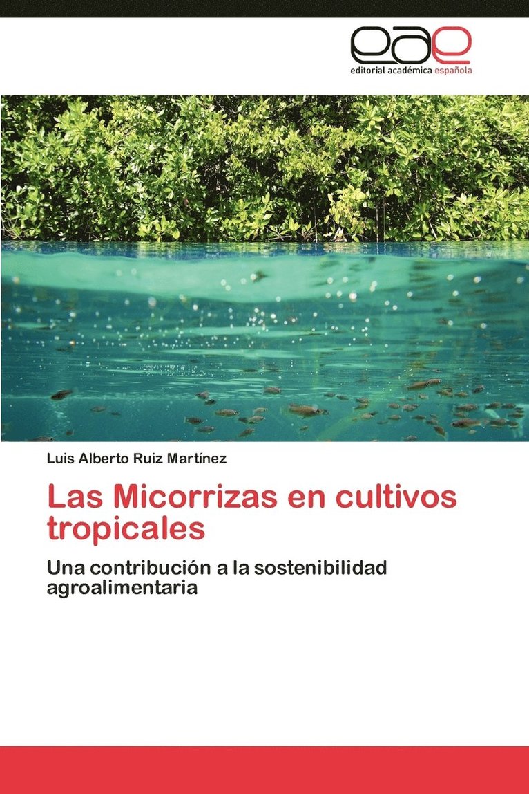 Las Micorrizas en cultivos tropicales 1