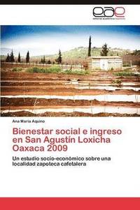 bokomslag Bienestar Social E Ingreso En San Agustin Loxicha Oaxaca 2009