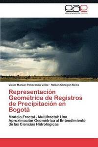 bokomslag Representacin Geomtrica de Registros de Precipitacin en Bogot