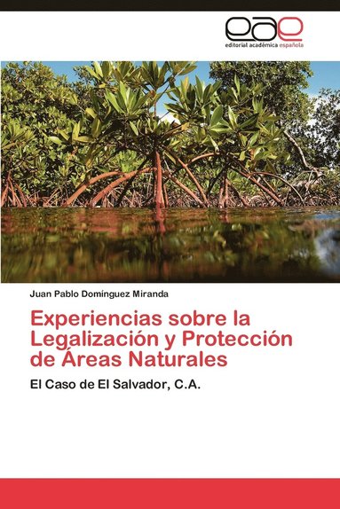 bokomslag Experiencias Sobre La Legalizacion y Proteccion de Areas Naturales