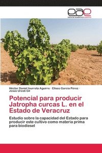 bokomslag Potencial para producir Jatropha curcas L. en el Estado de Veracruz