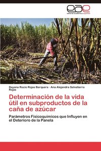 bokomslag Determinacion de La Vida Util En Subproductos de La Cana de Azucar