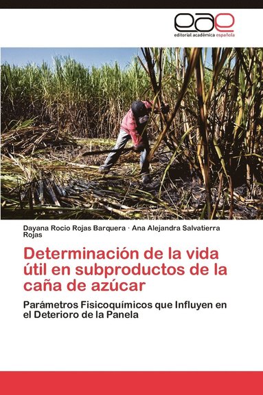 bokomslag Determinacion de La Vida Util En Subproductos de La Cana de Azucar