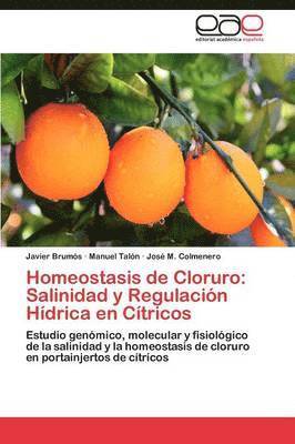 Homeostasis de Cloruro 1