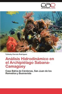 bokomslag Analisis Hidrodinamico En El Archipielago Sabana-Camaguey
