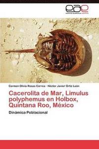 bokomslag Cacerolita de Mar, Limulus Polyphemus En Holbox, Quintana Roo, Mexico