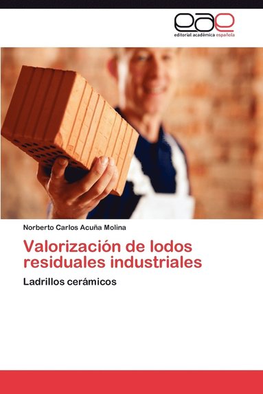 bokomslag Valorizacion de Lodos Residuales Industriales