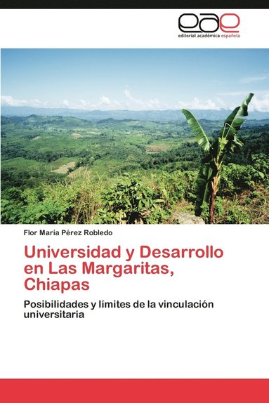 bokomslag Universidad y Desarrollo En Las Margaritas, Chiapas