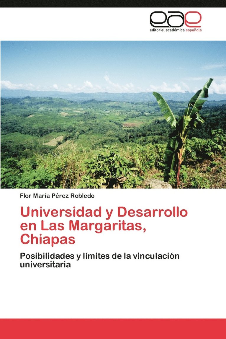 Universidad y Desarrollo En Las Margaritas, Chiapas 1