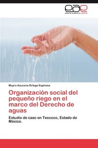 bokomslag Organizacion Social del Pequeno Riego En El Marco del Derecho de Aguas