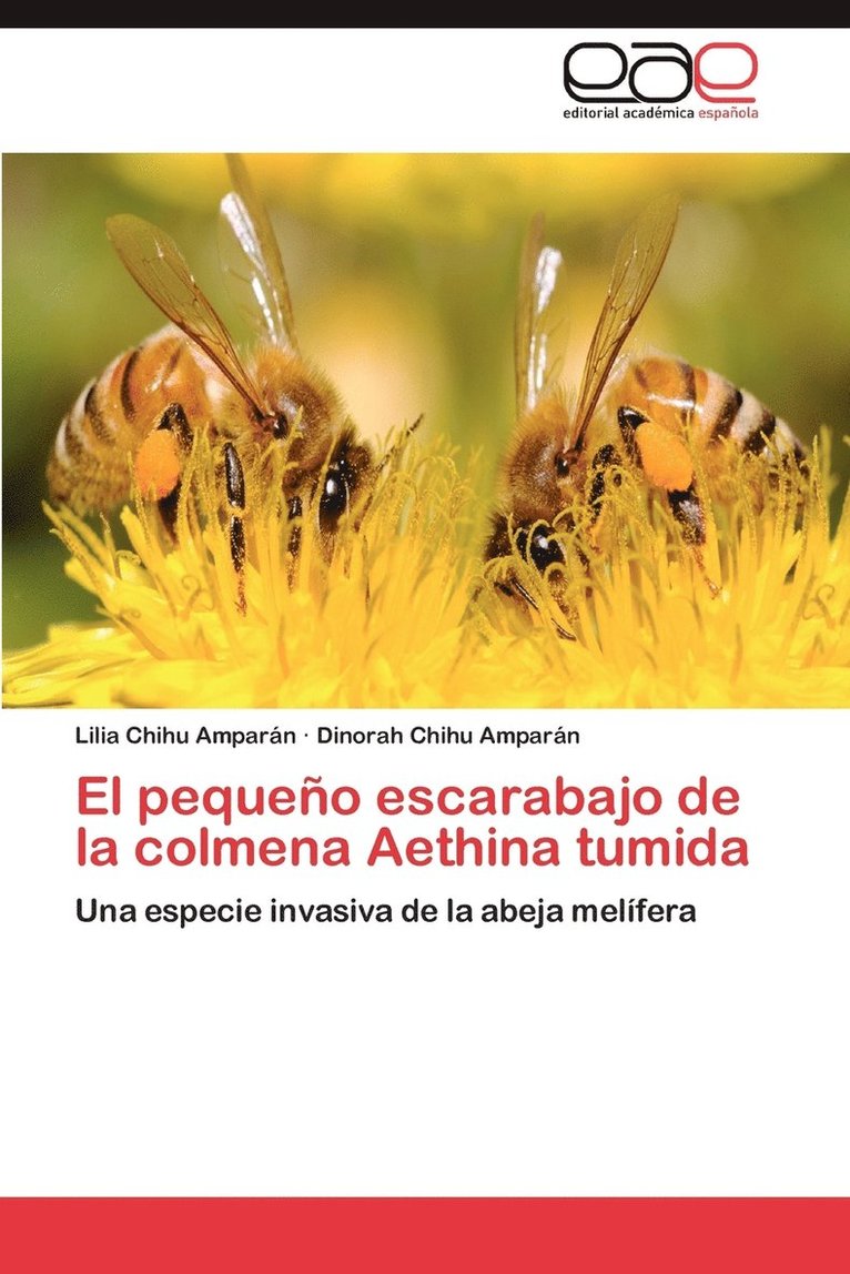 El Pequeno Escarabajo de La Colmena Aethina Tumida 1