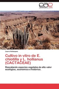bokomslag Cultivo in Vitro de E. Chiotilla y L. Hollianus (Cactaceae)