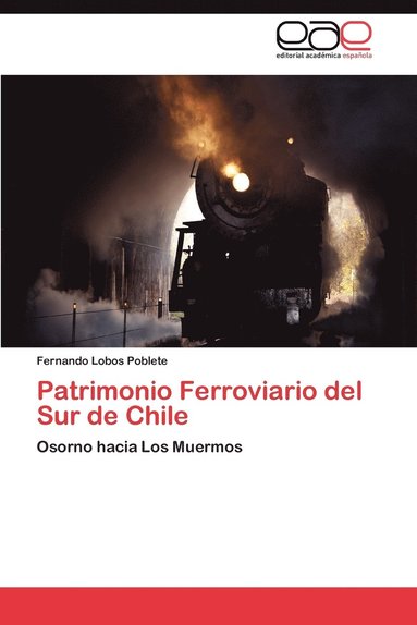 bokomslag Patrimonio Ferroviario del Sur de Chile