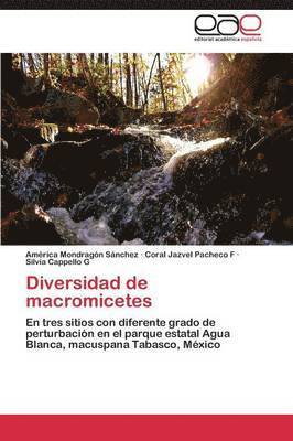 Diversidad de Macromicetes 1