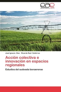 bokomslag Accion Colectiva E Innovacion En Espacios Regionales