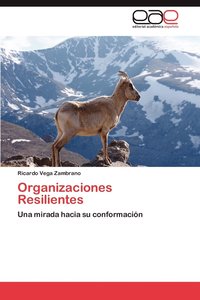 bokomslag Organizaciones Resilientes