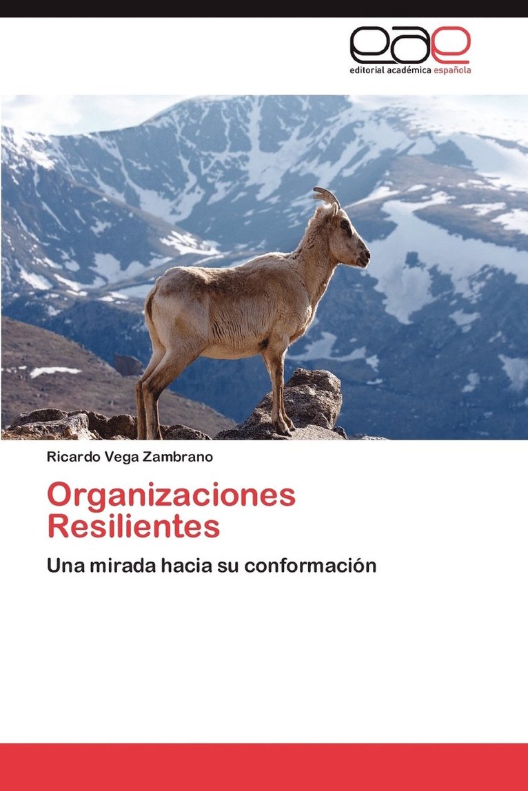 Organizaciones Resilientes 1
